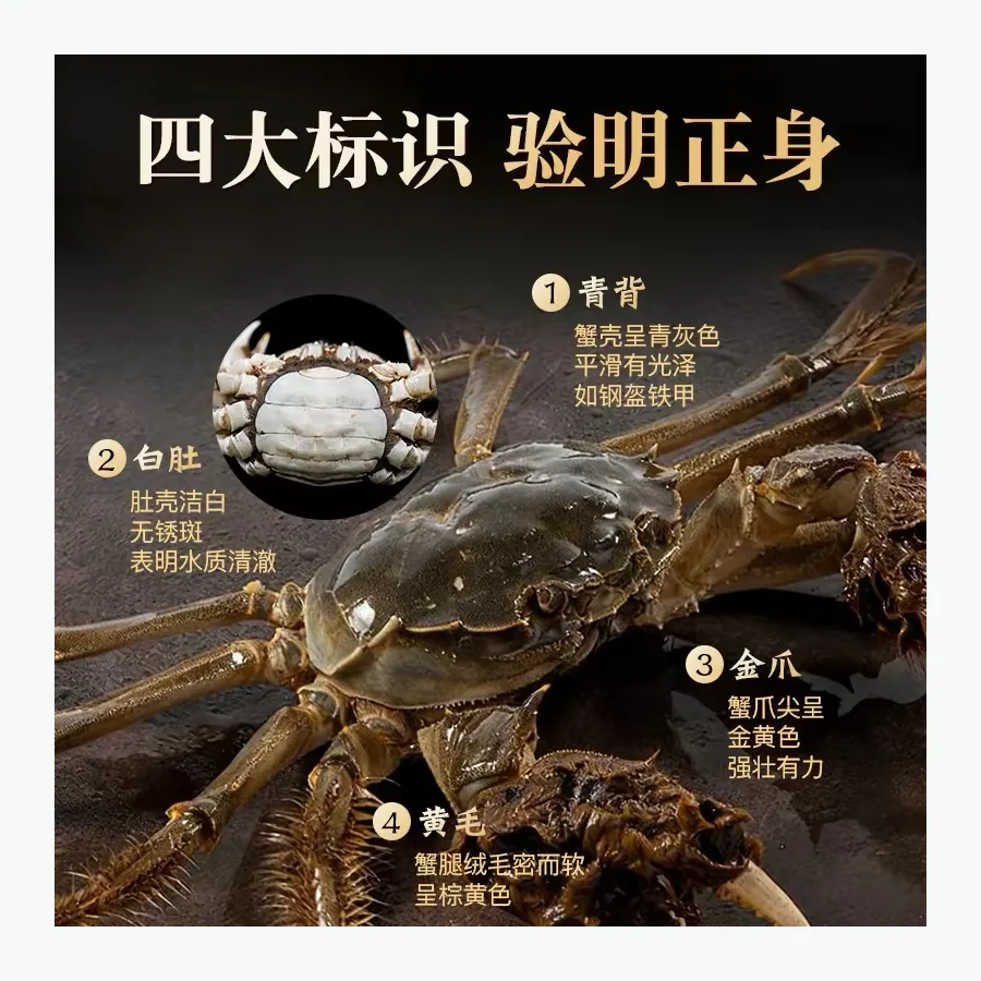 念扣·精选尝鲜礼主图3